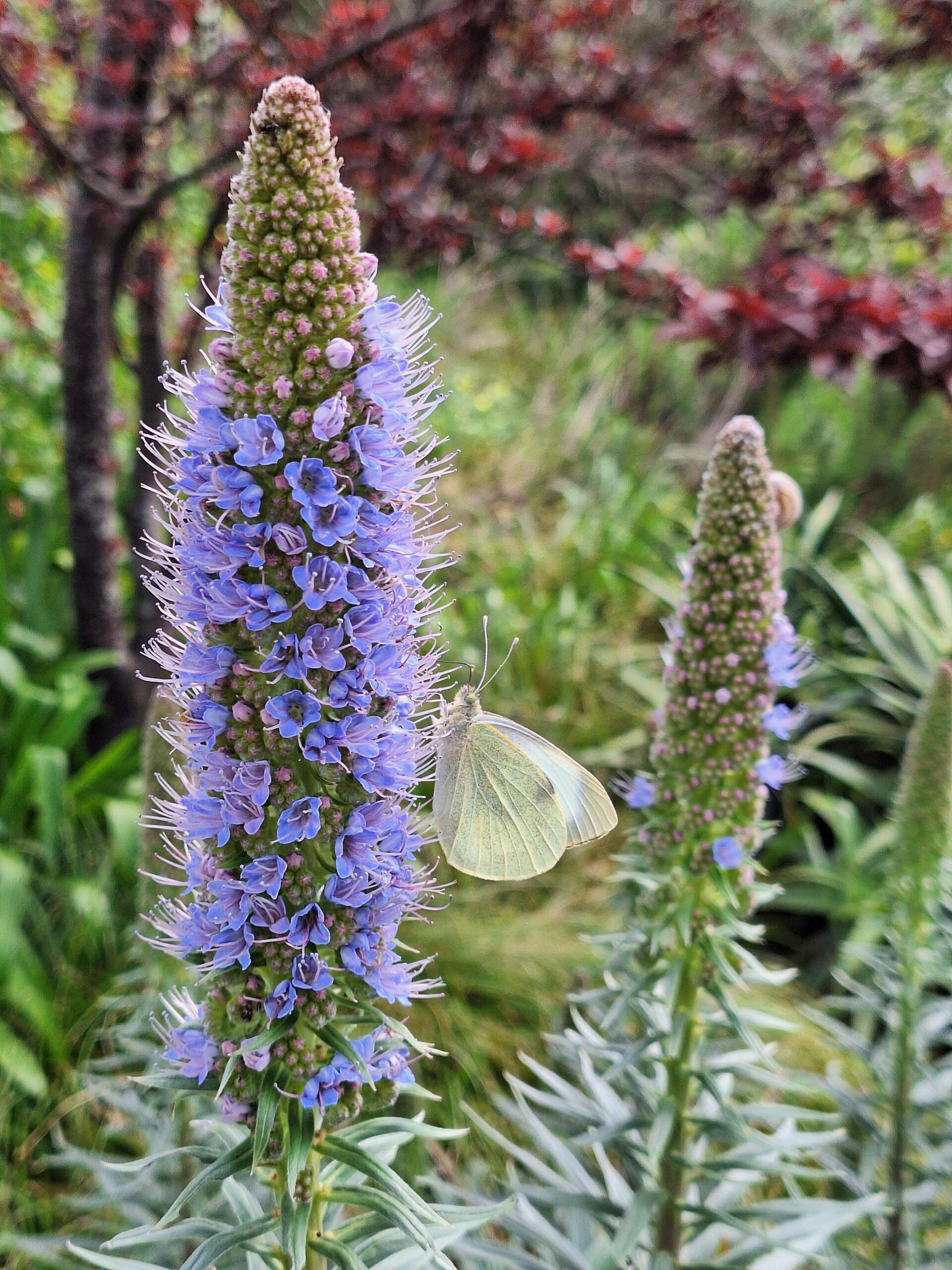 de natuur als inspiratie
